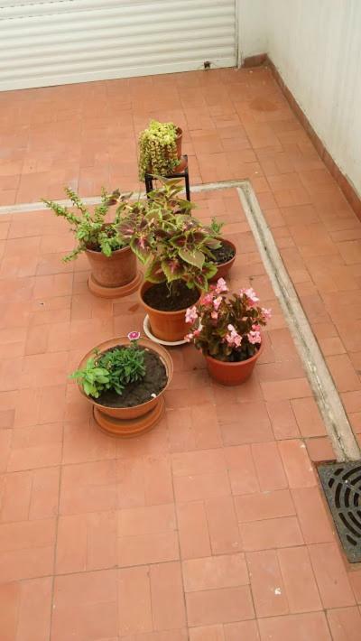 Apartament Kurmi Olavarría Zewnętrze zdjęcie